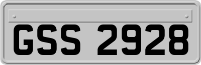 GSS2928