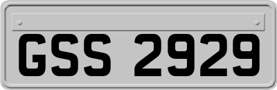 GSS2929