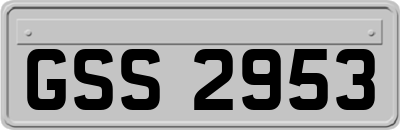 GSS2953
