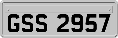 GSS2957