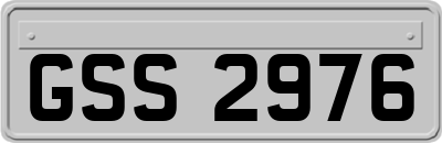 GSS2976