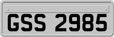GSS2985