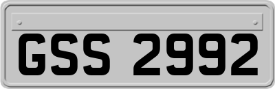 GSS2992