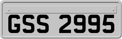 GSS2995