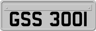 GSS3001