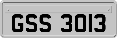 GSS3013