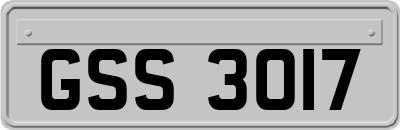 GSS3017