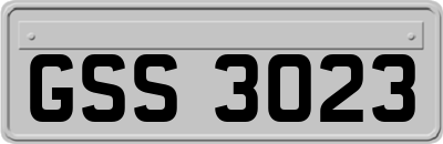 GSS3023