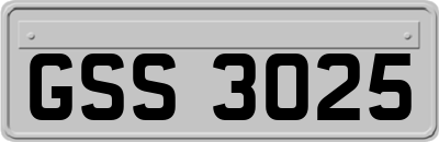 GSS3025