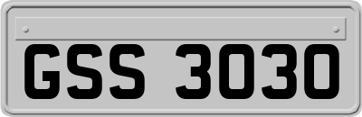 GSS3030