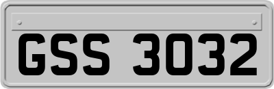 GSS3032