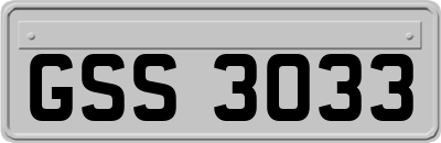 GSS3033