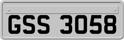 GSS3058