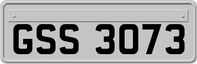 GSS3073