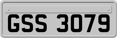GSS3079