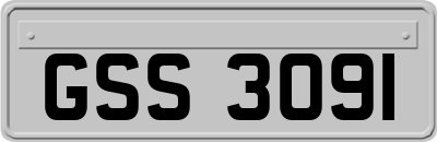 GSS3091