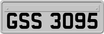 GSS3095