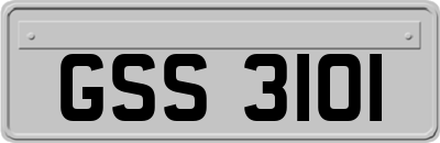 GSS3101