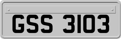 GSS3103