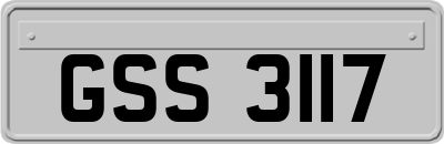 GSS3117