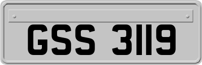 GSS3119