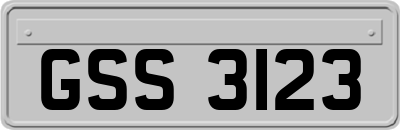 GSS3123