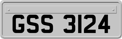 GSS3124