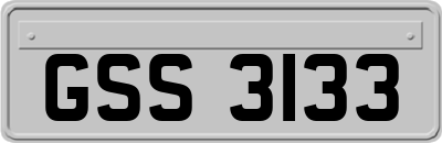 GSS3133