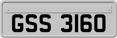 GSS3160