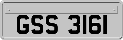 GSS3161