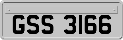 GSS3166