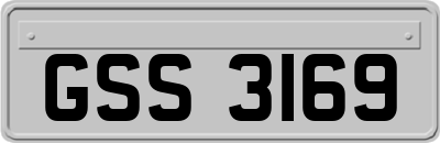 GSS3169