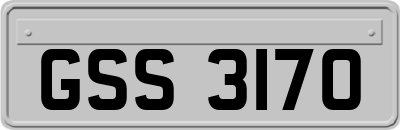 GSS3170