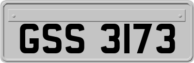 GSS3173