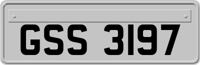 GSS3197