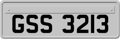 GSS3213