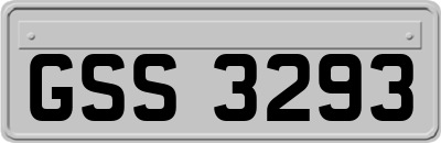 GSS3293