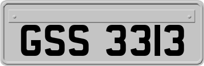 GSS3313