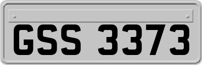 GSS3373