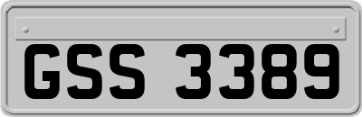 GSS3389
