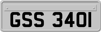 GSS3401