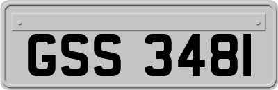 GSS3481