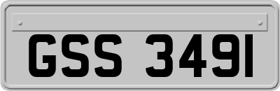 GSS3491