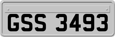 GSS3493