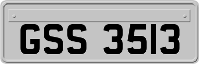 GSS3513
