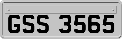 GSS3565