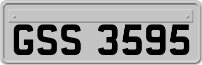 GSS3595