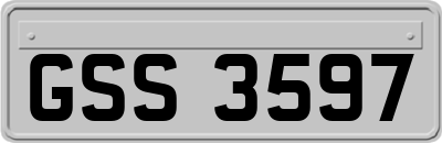 GSS3597