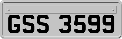 GSS3599