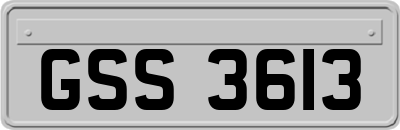 GSS3613